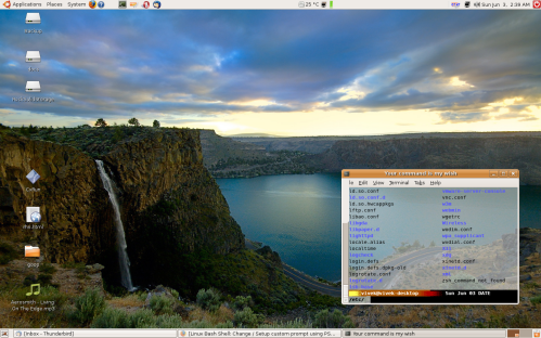 Linux desktop nice visual effect , like transparency, tinting etc